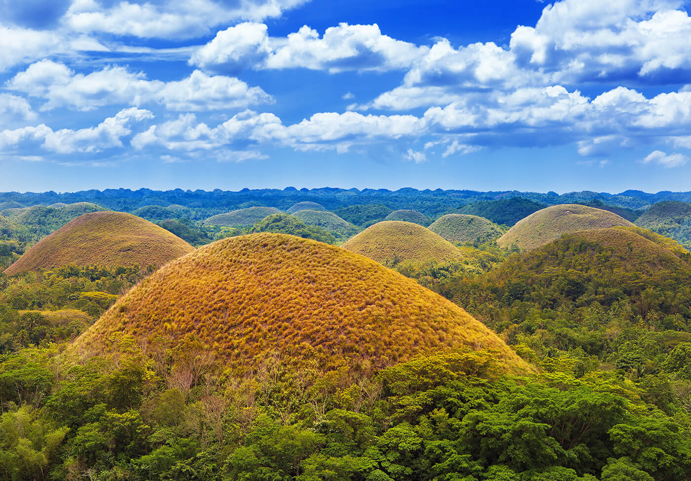 Chocolate Hills